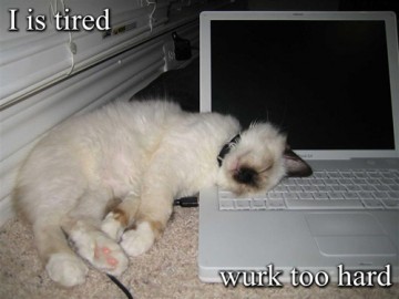 i-is-tired-wurk-too-hard